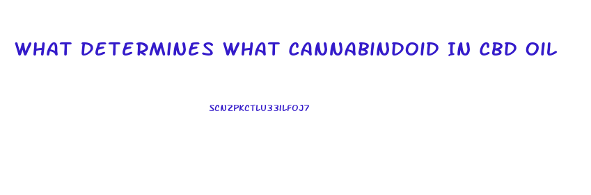 What Determines What Cannabindoid In Cbd Oil