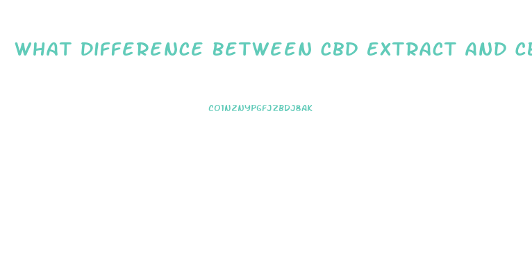 What Difference Between Cbd Extract And Cbd Oil
