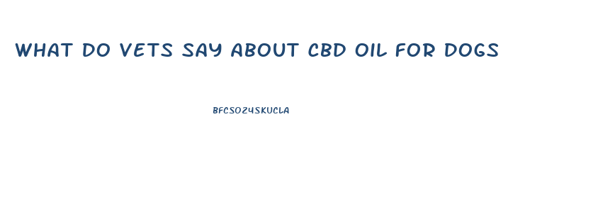 What Do Vets Say About Cbd Oil For Dogs