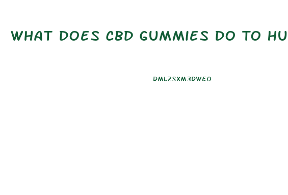 What Does Cbd Gummies Do To Humans