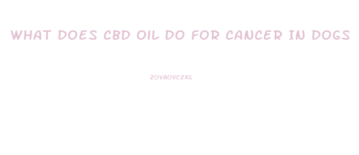 What Does Cbd Oil Do For Cancer In Dogs