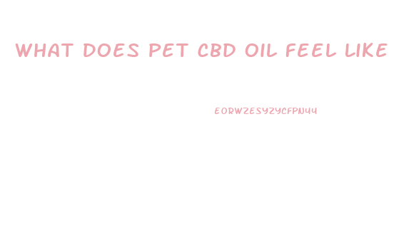 What Does Pet Cbd Oil Feel Like