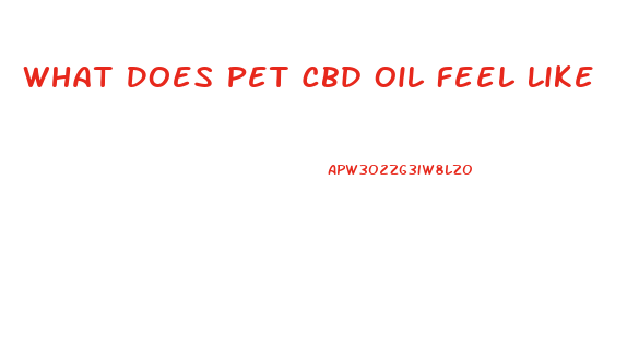 What Does Pet Cbd Oil Feel Like