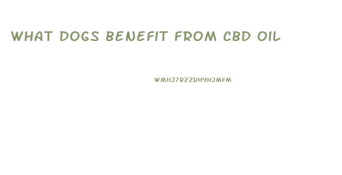 What Dogs Benefit From Cbd Oil