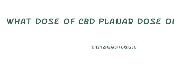 What Dose Of Cbd Planar Dose Of Cbd Oil Recommended