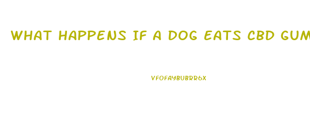 What Happens If A Dog Eats Cbd Gummies