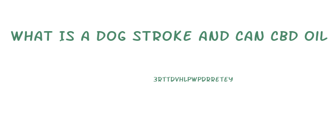 What Is A Dog Stroke And Can Cbd Oil Help