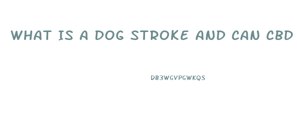 What Is A Dog Stroke And Can Cbd Oil Help