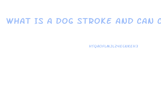 What Is A Dog Stroke And Can Cbd Oil Help