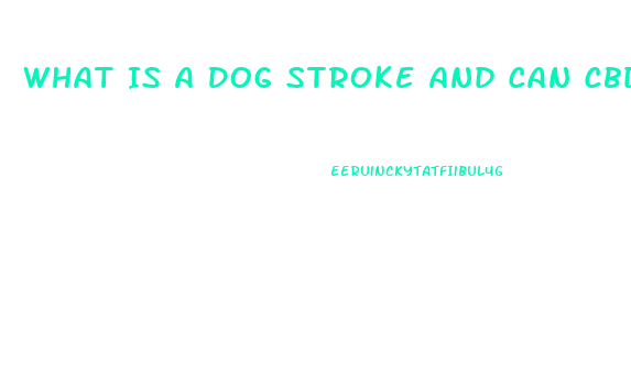 What Is A Dog Stroke And Can Cbd Oil Help