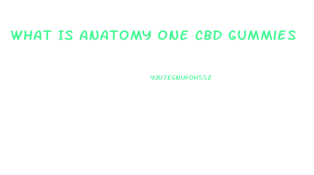 What Is Anatomy One Cbd Gummies