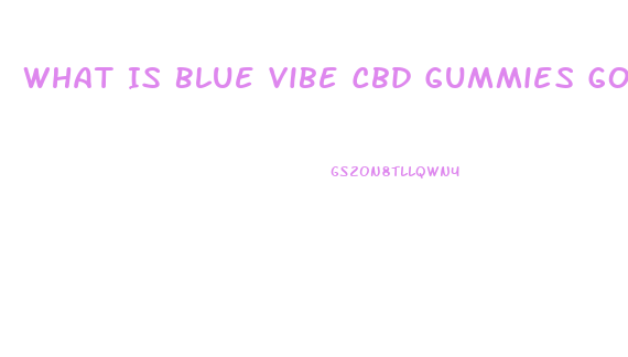 What Is Blue Vibe Cbd Gummies Good For