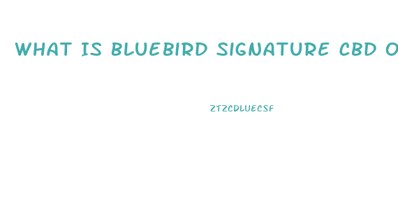 What Is Bluebird Signature Cbd Oil Good For