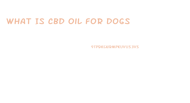What Is Cbd Oil For Dogs