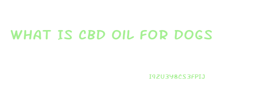 What Is Cbd Oil For Dogs