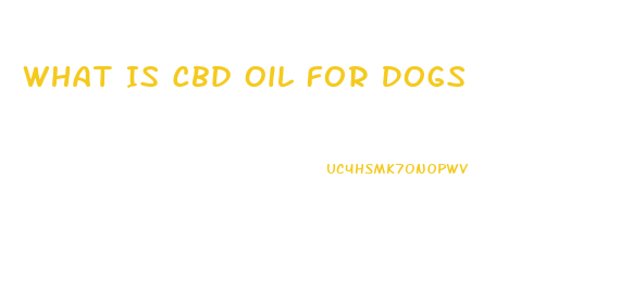 What Is Cbd Oil For Dogs