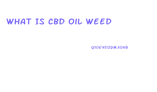 What Is Cbd Oil Weed