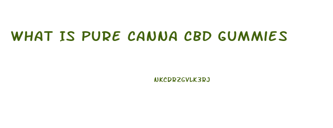 What Is Pure Canna Cbd Gummies