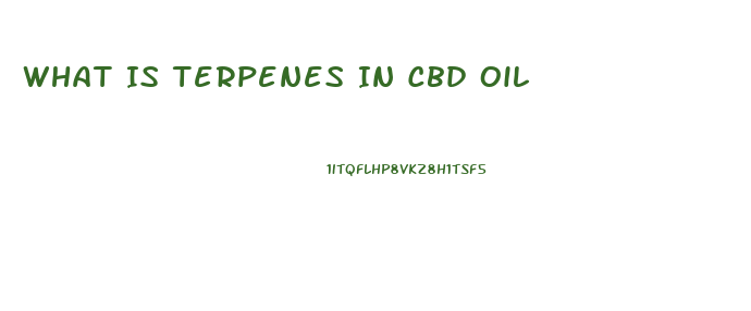 What Is Terpenes In Cbd Oil