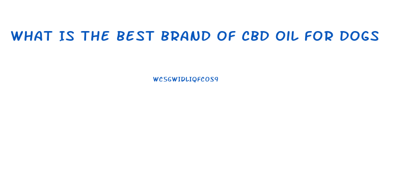 What Is The Best Brand Of Cbd Oil For Dogs