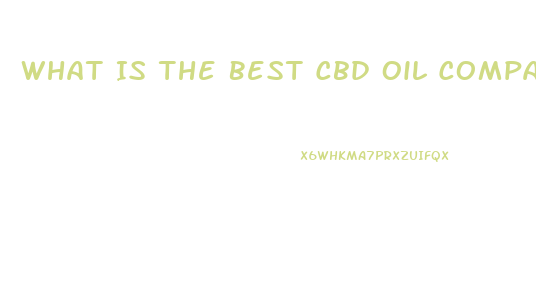 What Is The Best Cbd Oil Company For Dogs With Anxiety