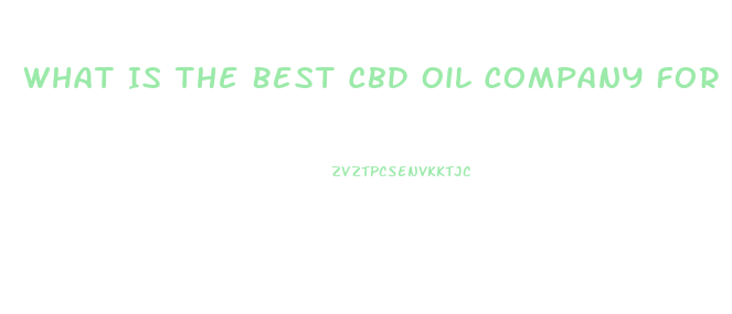 What Is The Best Cbd Oil Company For Dogs With Anxiety
