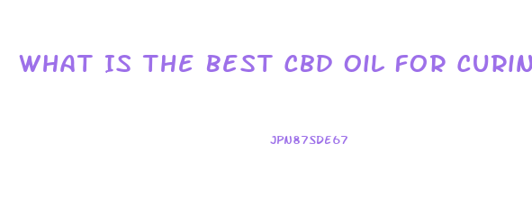 What Is The Best Cbd Oil For Curing Diabetes