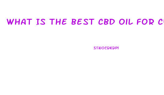 What Is The Best Cbd Oil For Curing Diabetes