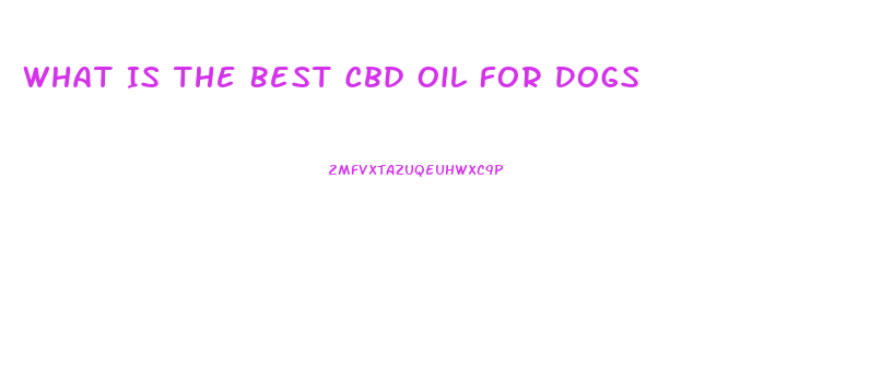 What Is The Best Cbd Oil For Dogs