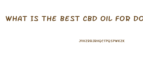 What Is The Best Cbd Oil For Dogs