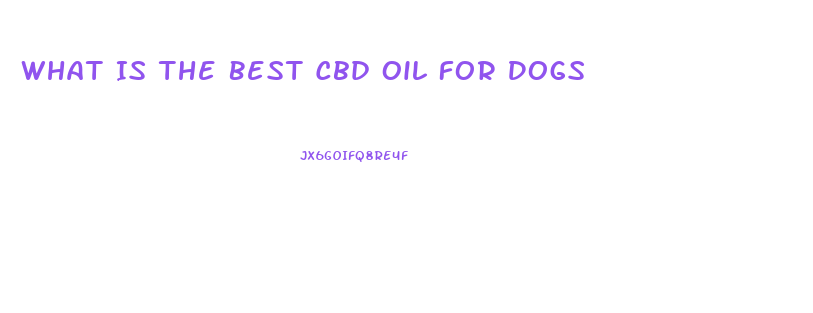 What Is The Best Cbd Oil For Dogs