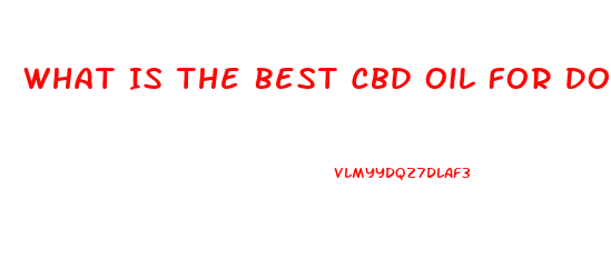 What Is The Best Cbd Oil For Dogs