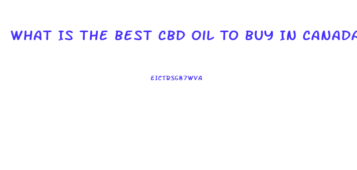 What Is The Best Cbd Oil To Buy In Canada