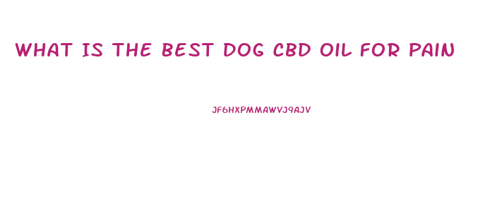 What Is The Best Dog Cbd Oil For Pain