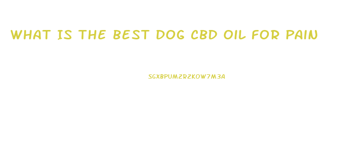 What Is The Best Dog Cbd Oil For Pain
