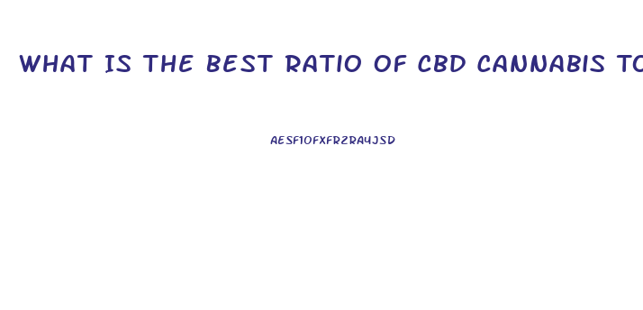 What Is The Best Ratio Of Cbd Cannabis To Olive Oil When Making Cbd Oil