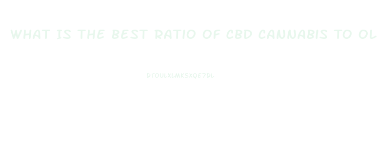 What Is The Best Ratio Of Cbd Cannabis To Olive Oil When Making Cbd Oil