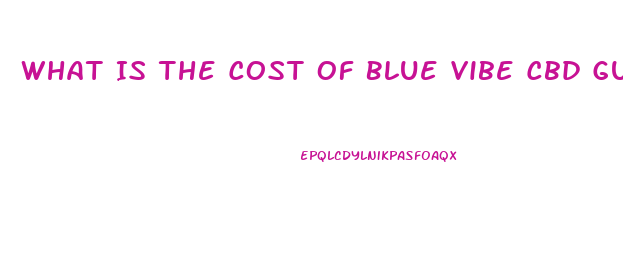 What Is The Cost Of Blue Vibe Cbd Gummies