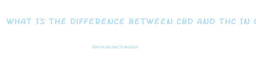 What Is The Difference Between Cbd And Thc In Gummies