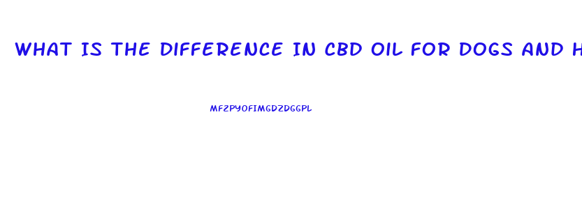 What Is The Difference In Cbd Oil For Dogs And Humans