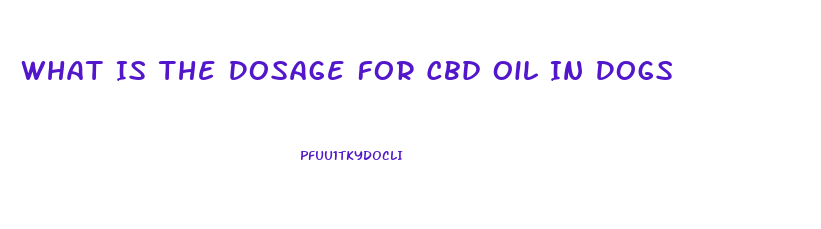 What Is The Dosage For Cbd Oil In Dogs