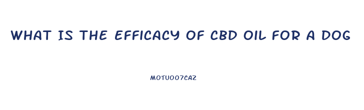What Is The Efficacy Of Cbd Oil For A Dog