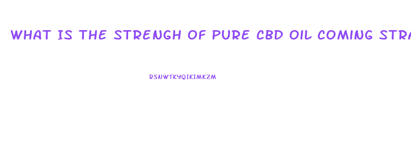 What Is The Strengh Of Pure Cbd Oil Coming Straight Out Of The Extractor