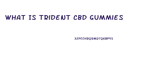 What Is Trident Cbd Gummies