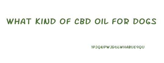 What Kind Of Cbd Oil For Dogs