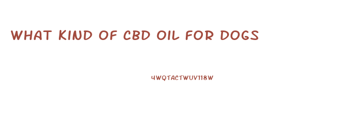 What Kind Of Cbd Oil For Dogs