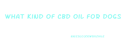 What Kind Of Cbd Oil For Dogs