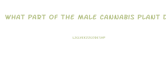 What Part Of The Male Cannabis Plant Do You Use To Make Cbd Oil