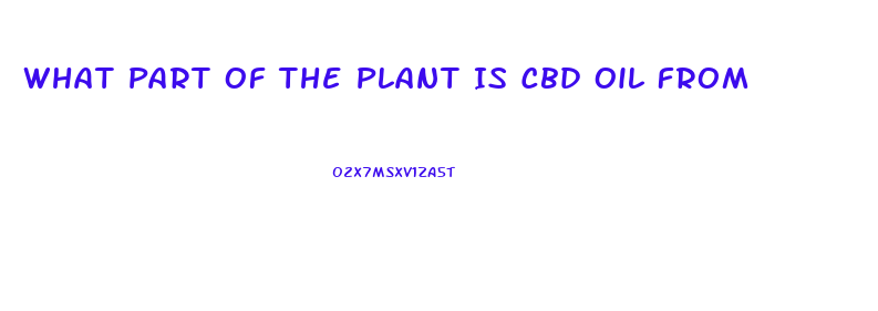 What Part Of The Plant Is Cbd Oil From