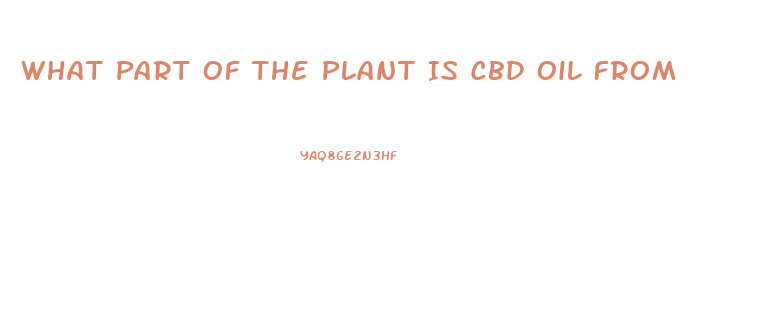 What Part Of The Plant Is Cbd Oil From